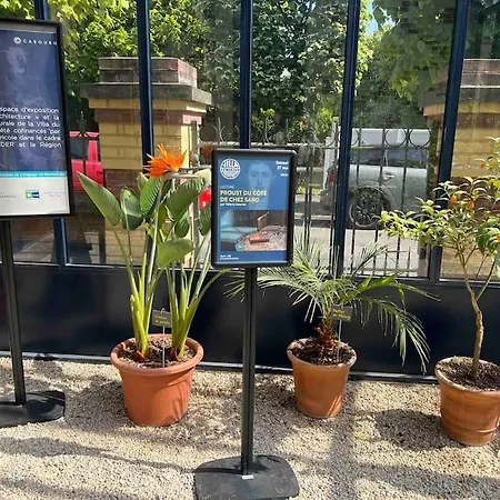 Apartment Elegant Et Chaleureux *