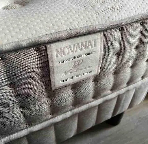 élégant Et Chaleureux