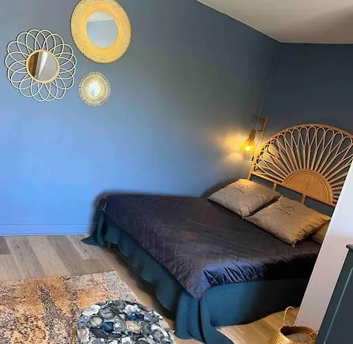 élégant Et Chaleureux Appartamento